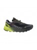 Bestard Guepard GTX