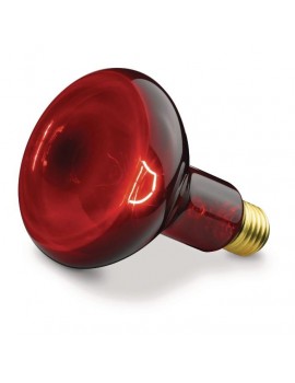 BEURER IL 11 YEDEK LAMBASI/AMPULÜ (SADECE AMPULDÜR) 100 WATT 