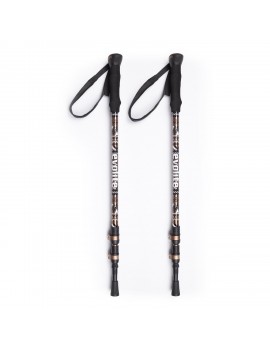 Evolite Golden Quick-Lock Dıştan Kilitli Trekking Batonu