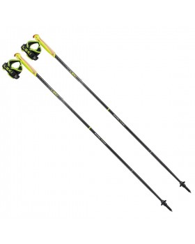 Leki EvoTrail FX. One TA Baton